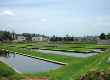 圣灯镇二郎村水产养殖池。